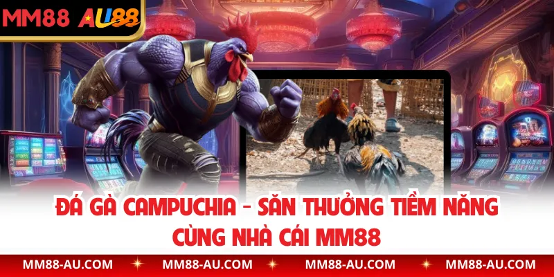 Đá Gà Campuchia - Săn Thưởng Tiềm Năng Cùng Nhà Cái MM88