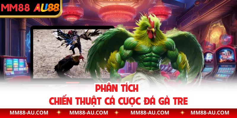 Phân tích chiến thuật cá cược đá gà tre